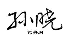 曾慶福孫曉行書個性簽名怎么寫