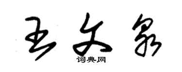 朱錫榮王文泉草書個性簽名怎么寫