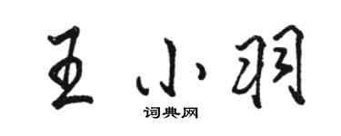 駱恆光王小羽行書個性簽名怎么寫