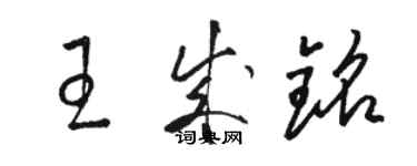 駱恆光王成銘草書個性簽名怎么寫