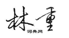 駱恆光林重行書個性簽名怎么寫