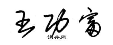 朱錫榮王功富草書個性簽名怎么寫