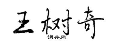 曾慶福王樹奇行書個性簽名怎么寫