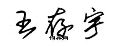 朱錫榮王存宇草書個性簽名怎么寫