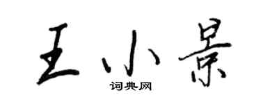 王正良王小景行書個性簽名怎么寫