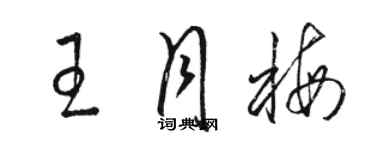 駱恆光王月梅草書個性簽名怎么寫