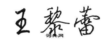 駱恆光王黎蕾行書個性簽名怎么寫