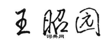 駱恆光王昭園行書個性簽名怎么寫