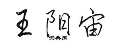 駱恆光王陽宙行書個性簽名怎么寫