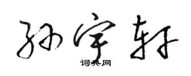 駱恆光孫宇軒草書個性簽名怎么寫