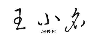 駱恆光王小名草書個性簽名怎么寫