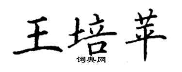 丁謙王培苹楷書個性簽名怎么寫