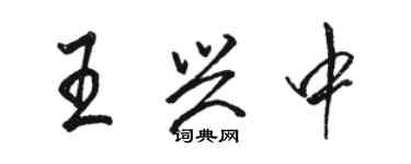 駱恆光王興中行書個性簽名怎么寫