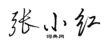 駱恆光張小紅行書個性簽名怎么寫