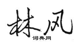 駱恆光林風行書個性簽名怎么寫