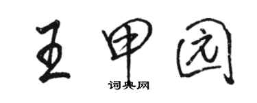 駱恆光王甲園行書個性簽名怎么寫