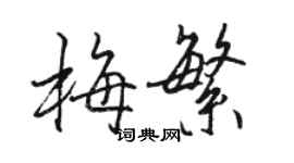 駱恆光梅繁行書個性簽名怎么寫