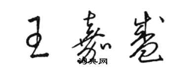 駱恆光王嘉盛草書個性簽名怎么寫