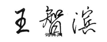 駱恆光王智濱行書個性簽名怎么寫