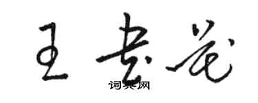 駱恆光王書花草書個性簽名怎么寫