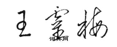 駱恆光王靈梅草書個性簽名怎么寫