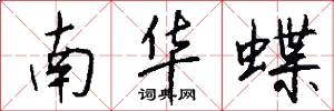 南華蝶怎么寫好看