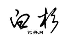 朱錫榮白杉草書個性簽名怎么寫