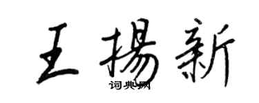 王正良王揚新行書個性簽名怎么寫