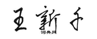 駱恆光王新千行書個性簽名怎么寫