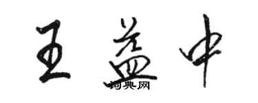 駱恆光王益中行書個性簽名怎么寫