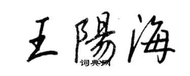 王正良王陽海行書個性簽名怎么寫
