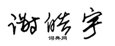 朱錫榮謝皓宇草書個性簽名怎么寫
