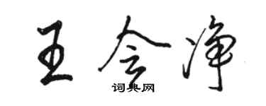 駱恆光王會淨行書個性簽名怎么寫