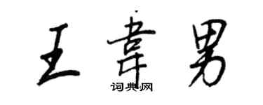 王正良王韋男行書個性簽名怎么寫