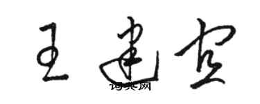 駱恆光王建宜草書個性簽名怎么寫