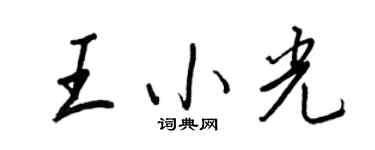 王正良王小光行書個性簽名怎么寫