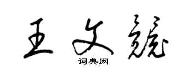 梁錦英王文競草書個性簽名怎么寫