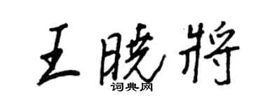 王正良王曉將行書個性簽名怎么寫