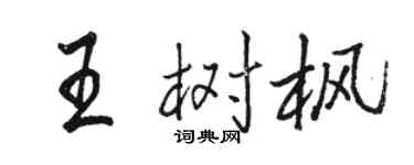駱恆光王樹楓行書個性簽名怎么寫