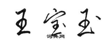 駱恆光王寶玉行書個性簽名怎么寫