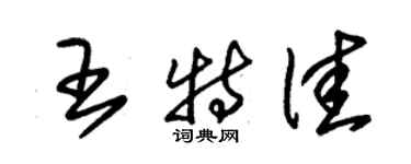 朱錫榮王特佳草書個性簽名怎么寫