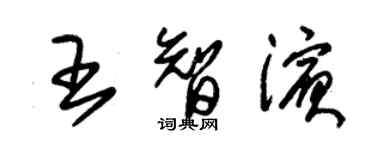 朱錫榮王智濱草書個性簽名怎么寫
