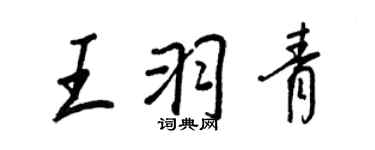 王正良王羽青行書個性簽名怎么寫