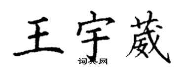 丁謙王宇葳楷書個性簽名怎么寫