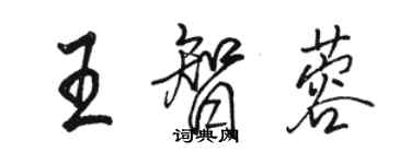 駱恆光王智蓉行書個性簽名怎么寫