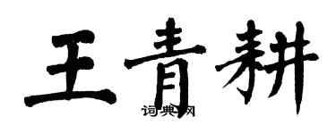 翁闓運王青耕楷書個性簽名怎么寫