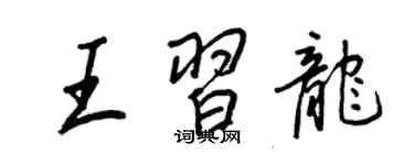 王正良王習龍行書個性簽名怎么寫
