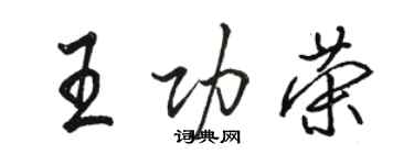 駱恆光王功榮行書個性簽名怎么寫