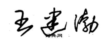 朱錫榮王建渤草書個性簽名怎么寫