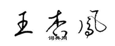 梁錦英王杏鳳草書個性簽名怎么寫